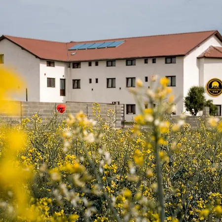 Szálloda Vila Wallenthal Hátszeg