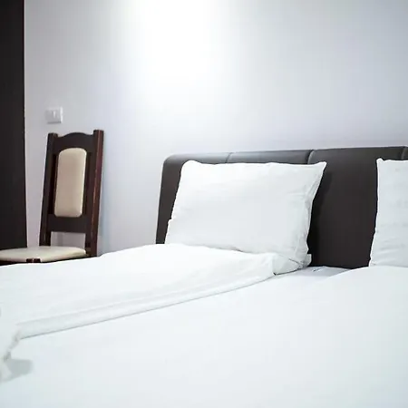 Hotel Vila Wallenthal Haţeg